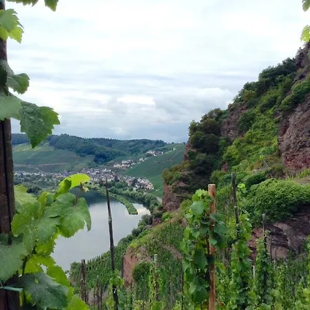 Traumhafte Mit Moselblick 크로프