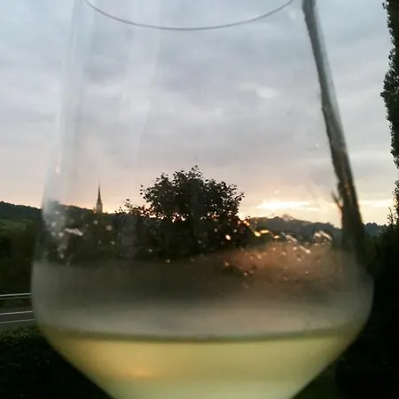 Traumhafte Mit Moselblick 크로프