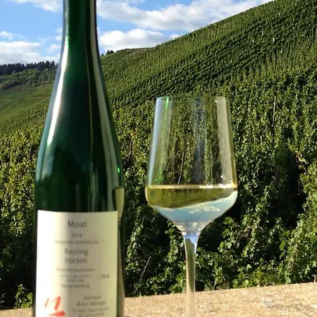 Traumhafte Mit Moselblick 아파트 크로프