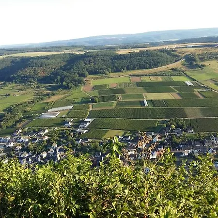 Traumhafte Mit Moselblick 크로프