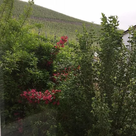 Traumhafte Mit Moselblick 아파트 크로프