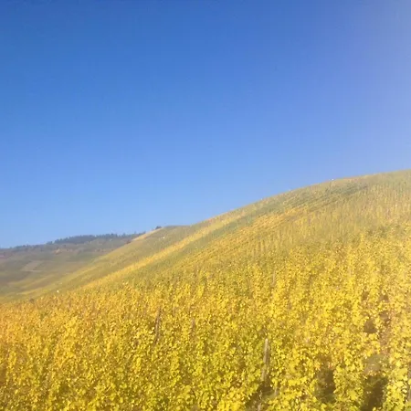 아파트 Traumhafte Mit Moselblick 크로프